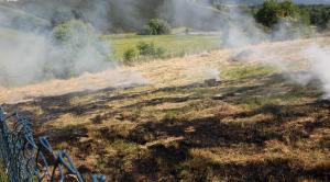 Hochgeladene Bilddatei