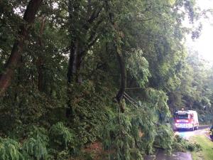 Hochgeladene Bilddatei