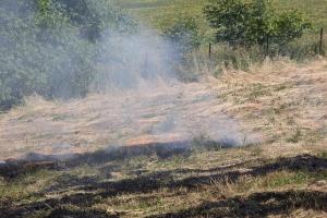 Hochgeladene Bilddatei