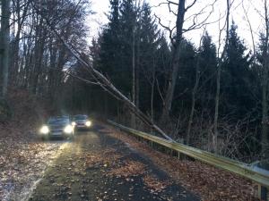 Hochgeladene Bilddatei