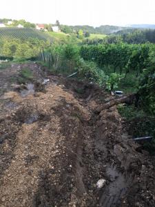 Hochgeladene Bilddatei