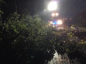 Hochgeladene Bilddatei