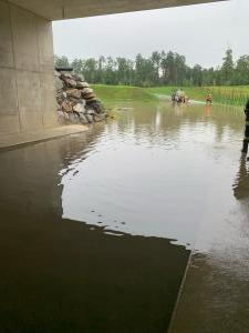 Hochgeladene Bilddatei