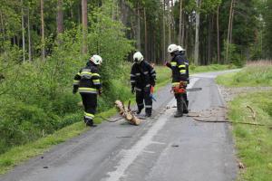 Hochgeladene Bilddatei