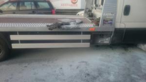 Hochgeladene Bilddatei