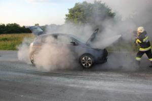 Hochgeladene Bilddatei