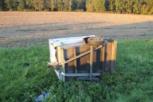 Hochgeladene Bilddatei