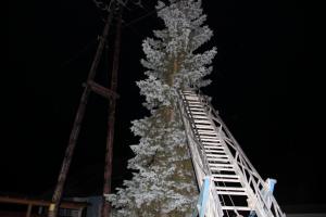 Hochgeladene Bilddatei