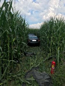 Hochgeladene Bilddatei