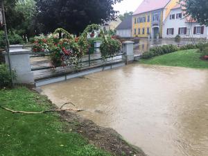 Hochgeladene Bilddatei