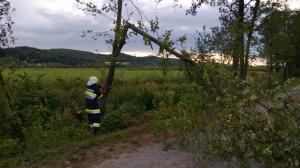 Hochgeladene Bilddatei