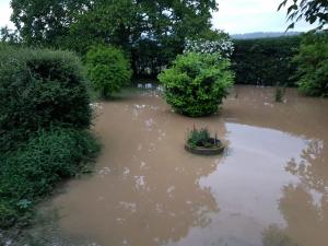 Hochgeladene Bilddatei