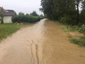 Hochgeladene Bilddatei