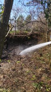 Hochgeladene Bilddatei