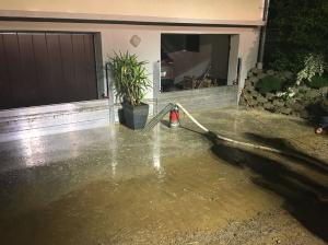 Hochgeladene Bilddatei