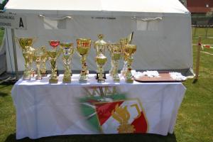 Hochgeladene Bilddatei